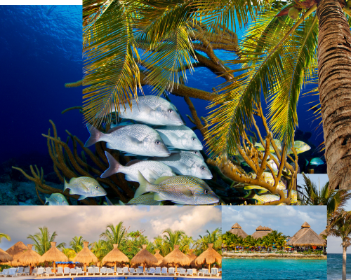 Luxury Beach Home Rentals Cozumel Island Mexico